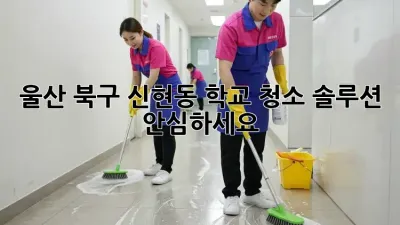 울산 북구 신현동 학교 청소 솔루션🧹🏫 안심하세요!