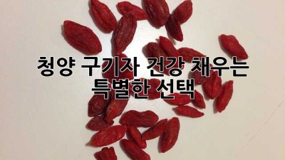청양 구기자, 건강 채우는 특별한 선택