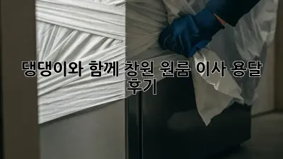 댕댕이와 함께! 창원 원룸 이사 용달 후기🐶🏠