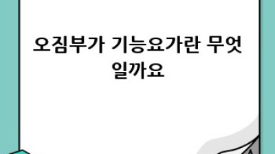 오짐부가 기능요가로 바른 자세 만들기